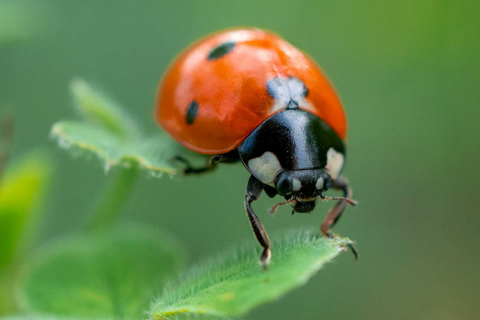 CVE-2026-0603 – Hibernate security issue: Should you be worried?
